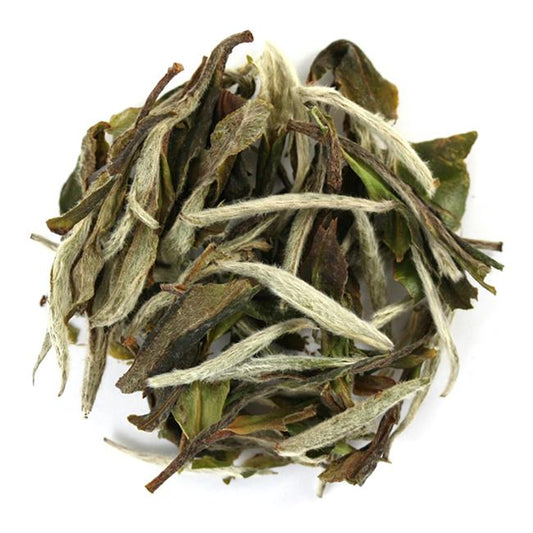 White Peony (Bai Mu Dan)